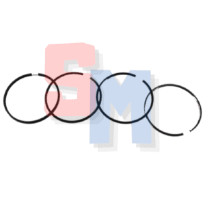 SERIE SEGMENTI RUGGERINI RF140 148 RD270 278 950 952 DIAMETRO 96mm