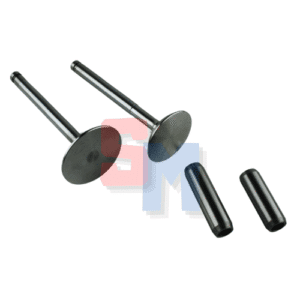 KIT VALVOLE ASPIRAZIONE SCARICO GUIDA VALVOLE LOMBARDINI 6LD400 6LD435