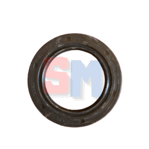 PARAOLIO 42x62x10 RP