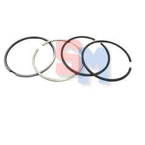 SERIE SEGMENTI DEUTZ FL913 DIAMETRO 102mm