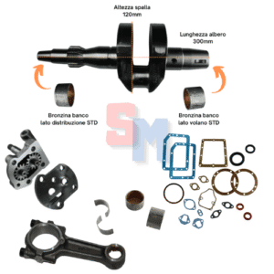 ALBERO MOTORE BRONZINE BIELLA POMPA OLIO GUARNIZIONI 6LD360