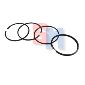 SERIE SEGMENTI RUGGERINI CRD100 DIAMETRO 100,50mm