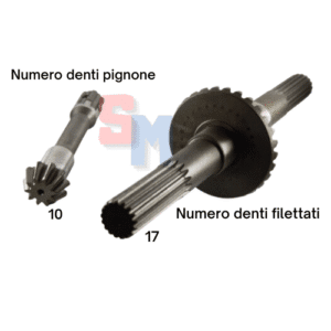 COPPIA CONICA INFERIORE GOLDONI FRESA 22M DENTI 10 29 RIF. ORIG. 0015146+001