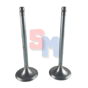 KIT VALVOLE ASPIRAZIONE E SCARICO MOTORE RUGGERINI RD220 RD240 RD270 RD278