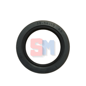 PARAOLIO 38x54x10 RP