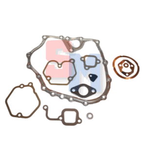 SERIE GUARNIZIONI COMPLETA YANMAR VULCAN ZANETTI E VARI MADE IN CHINA L48 LA170