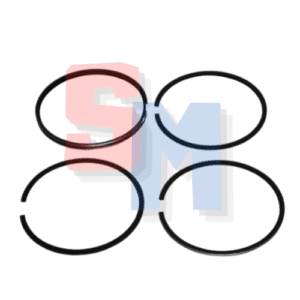 SERIE SEGMENTI RUGGERINI RF140 148 RD270 278 950 952 DIAMETRO 95,50mm