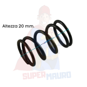 MOLLA DISCO FRIZIONE ad. MAB T4 ADRIATICA
