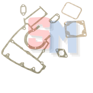 SERIE GUARNIZIONI COMPLETA ad. ECHO CS302