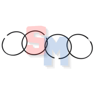 SERIE SEGMENTI MOTORE LOMBARDINI LDA100 4LD705 STANDARD DIAMETRO 100mm RIF. ORIG. 8210.049.279