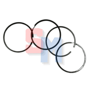 SERIE SEGMENTI ad. MOTORE LOMBARDINI LDA830 STD DIAMETRO 100mm