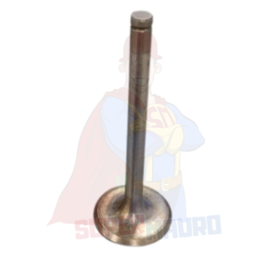 VALVOLA ASPIRAZIONE ad. LOMBARDINI LDA832/833/834/672/673/674 5LD 675/2 675/3